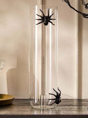 West Elm Glass Spider Taper Hurricane Candleholder